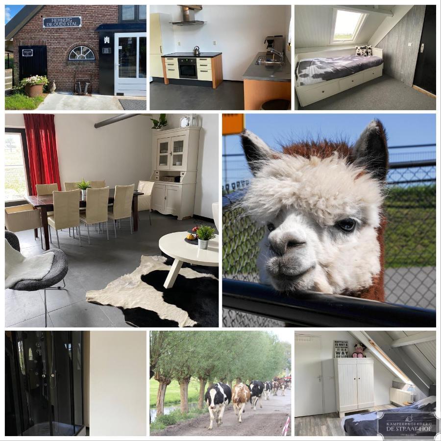 Herberg Boerderij De Straat-Hof Bed & Breakfast Leimuiden Eksteriør bilde