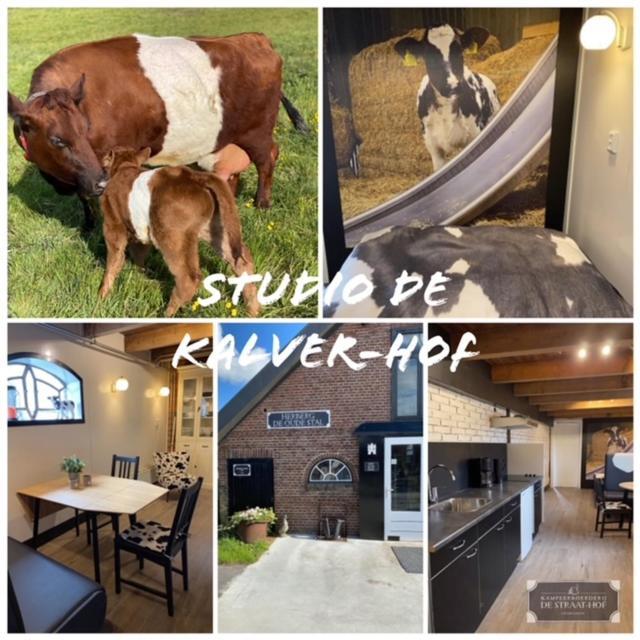 Herberg Boerderij De Straat-Hof Bed & Breakfast Leimuiden Eksteriør bilde